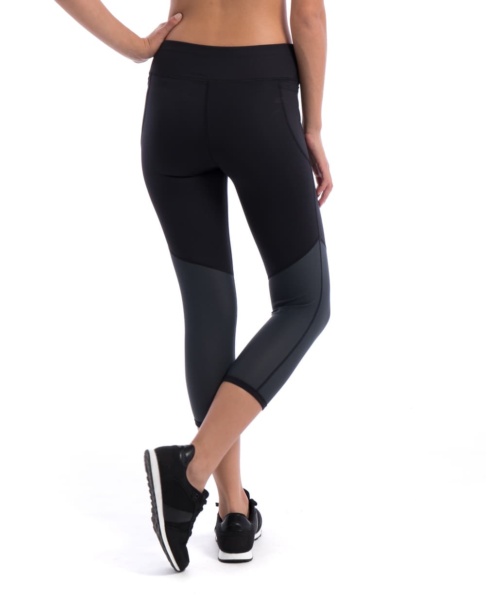 WS3-PLEXUS-15 product variant - WS3-PLEXUS-15-XL